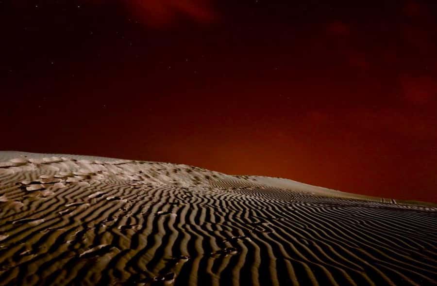 Doha Night Desert Safari Stargazing And Camel Ride - Key things to know before booking