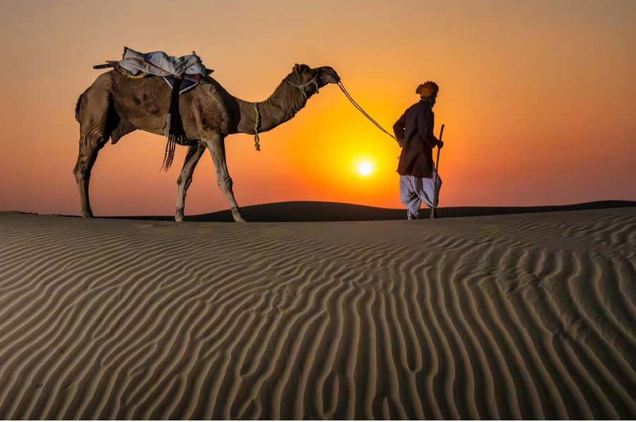 Doha Night Desert Safari Stargazing And Camel Ride - The Inland Sea beach stop
