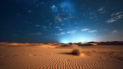 Doha Night Desert Safari Stargazing And Camel Ride