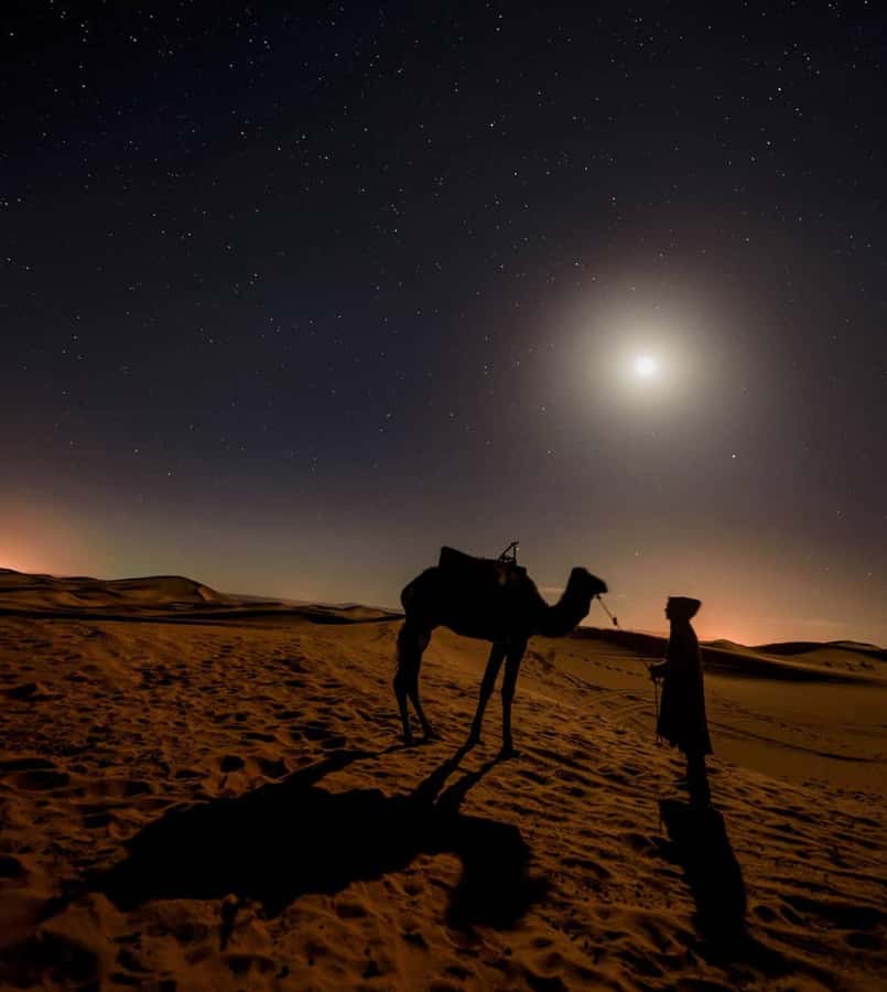 Doha Night Desert Safari Stargazing And Camel Ride - Guides make the difference