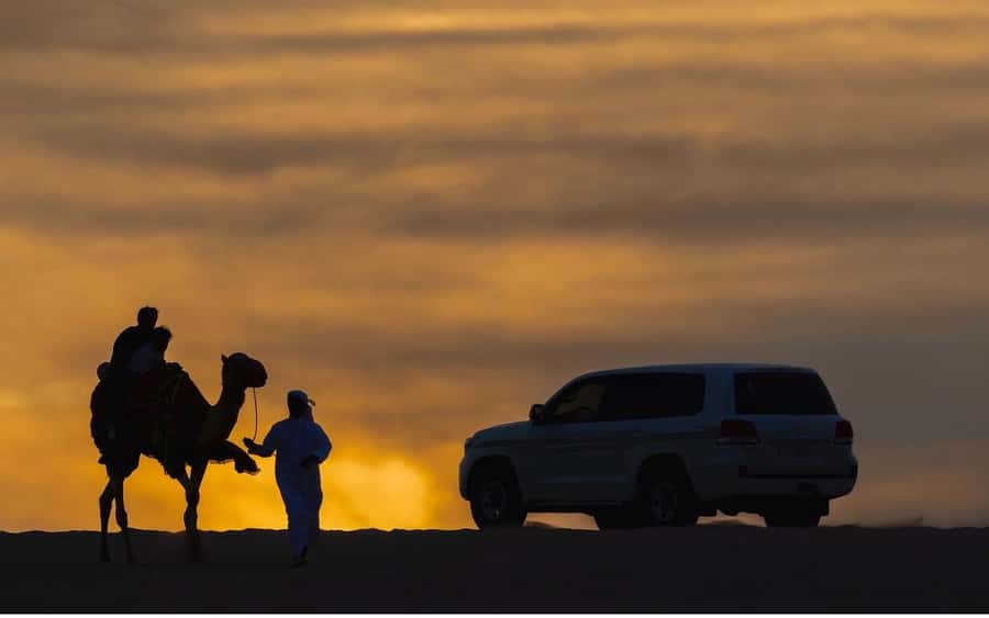 Doha Night Desert Safari Stargazing And Camel Ride - Practical ways to enjoy the evening