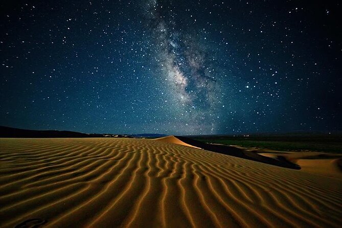 Doha Night Desert Safari Stargazing Camel Ride and Dune Bashing - A short camel and tea stop at Sealine Beach