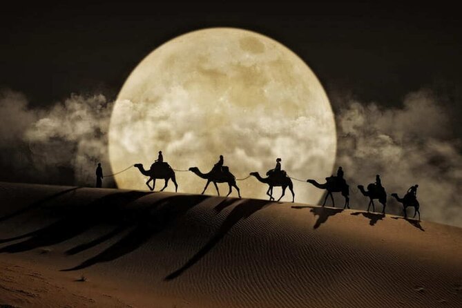 Doha Night Desert Safari Stargazing Dune Drive Camel Ride - Sealine Beach, where sand meets water