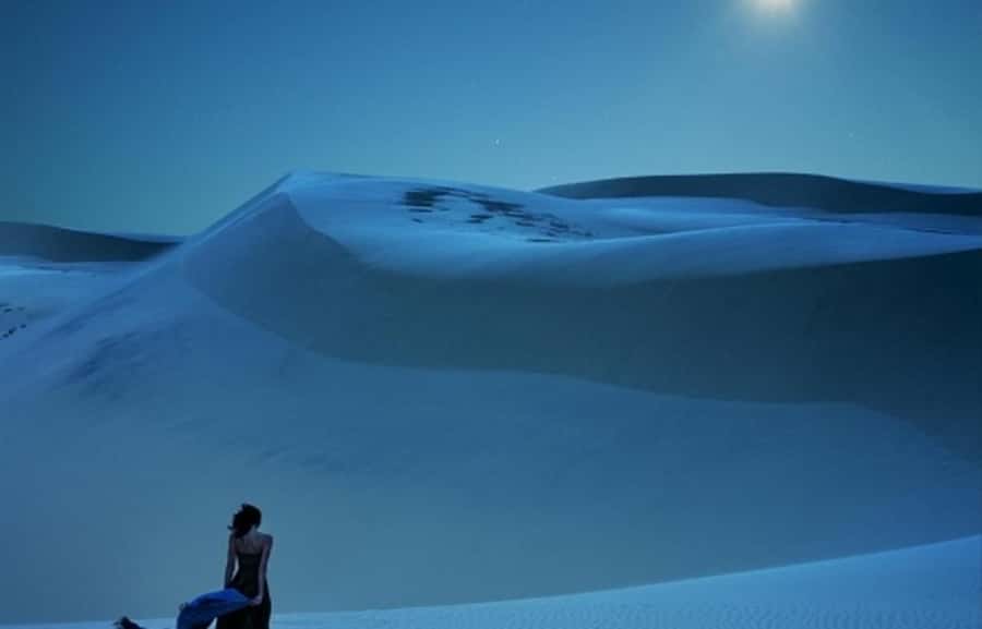 Doha: Night Desert Safari, Stargazing, Dune Driving &Inland - The guides are a major part of the value