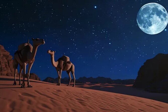 Doha Night Desert Safari, Stargazing, Photography، Relaxation - Sandboarding on soft slopes