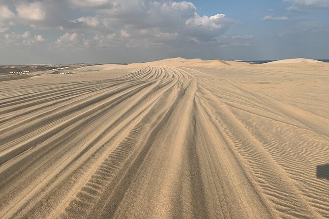 Doha : Night Desert Safari | Transit Safari | Camel ride | Dune Bashing - Who Should Book This Doha Safari?