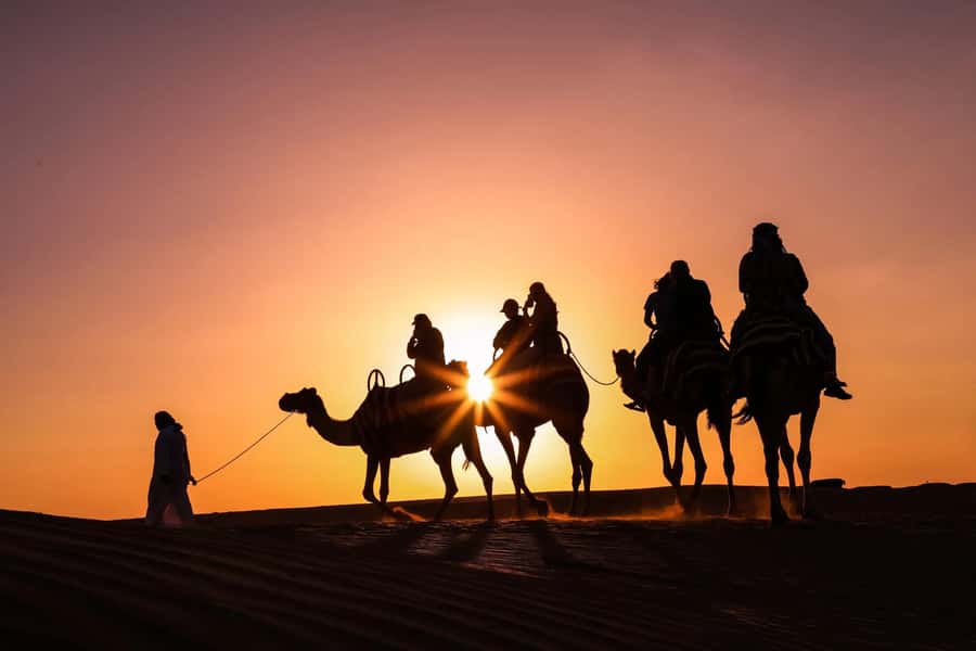 Doha: Night Desert Safari with Camel Ride and Sandboarding - Key details before you book