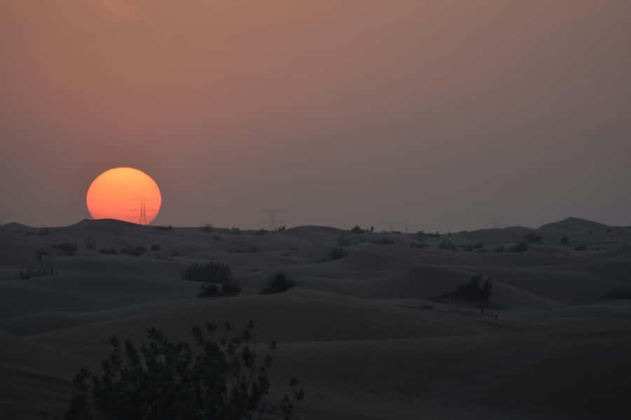 Doha: Night Desert Safari with Camel Ride and Sandboarding - Leaving Doha for Qatar’s golden dunes