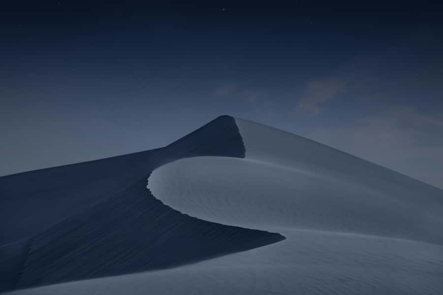 Doha: Night Desert Safari with Camel Ride and Sandboarding - Who should book this desert safari?