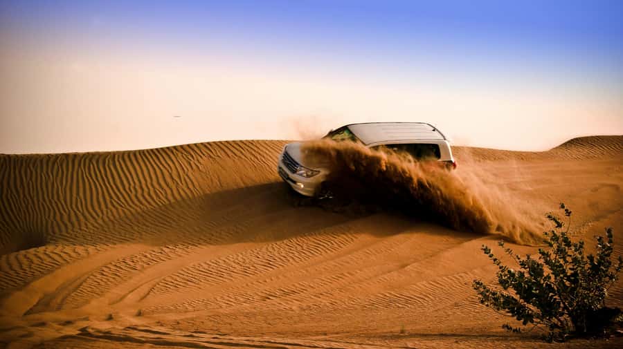 Doha: Night Desert Safari with Camel Ride and Sandboarding - A short camel ride near the Inland Sea
