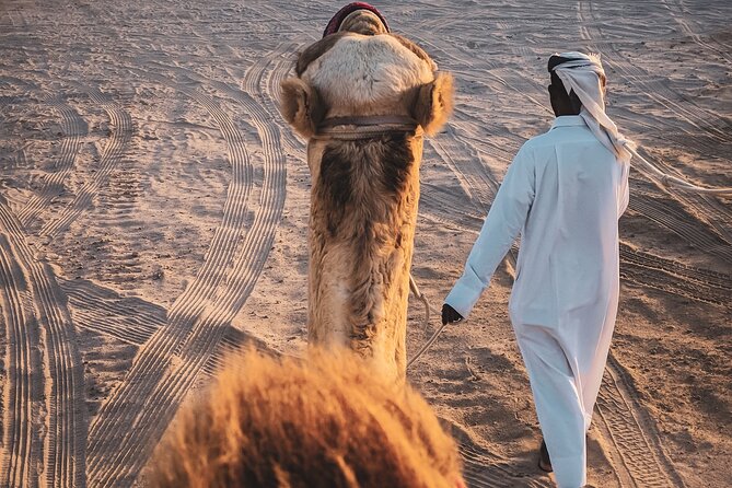 Doha-Night Desert Safari with Sand Board and Camel Ride - Key things to know before you book