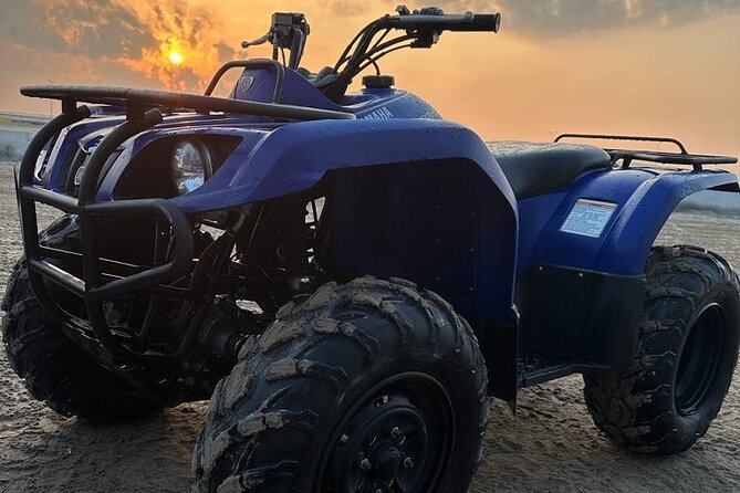 Doha-Night Desert Safari with Sand Board and Camel Ride - Leaving Doha for Sealine Beach