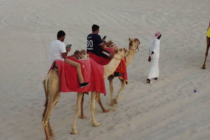 Doha-Night Desert Safari with Sand Board and Camel Ride - Camel riding and the slower side of the desert