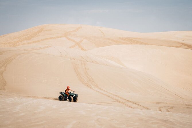 Doha-Night Desert Safari with Sand Board and Camel Ride - Sealine Beach under the moonlight
