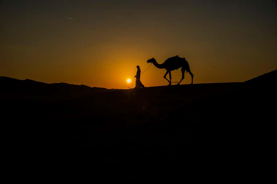 Doha: Night Desert Safari With Stargazing and Inland Sea - From Doha to Sealine, where the ride changes character