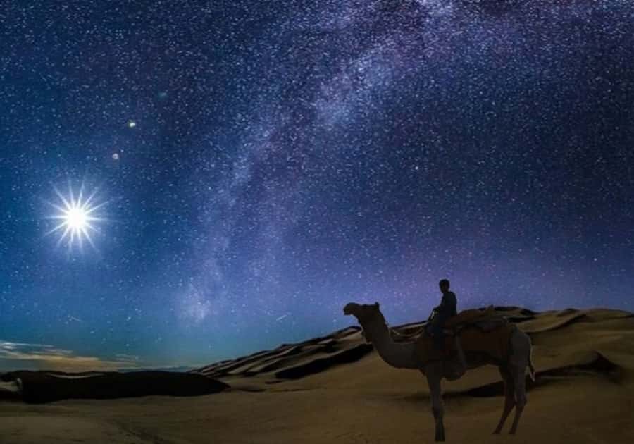 Doha: Night Desert Safari with Stargazing & Camel Ride - Dune bashing after dark
