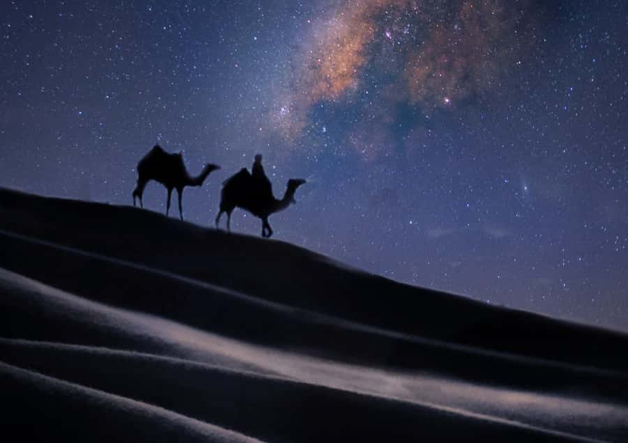 Doha: Night Desert Safari with Stargazing & Camel Ride - Stargazing in Qatar’s dark sky