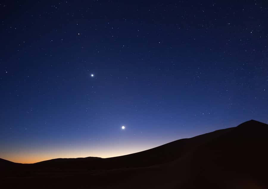 Doha: Night Desert Safari with Stargazing & Camel Ride - Returning to Doha and managing the timing