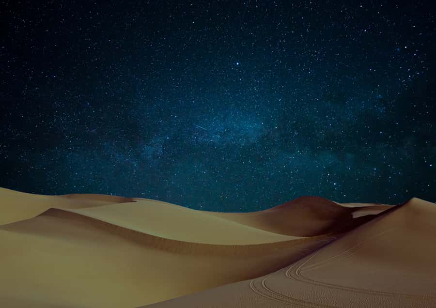 Doha: Night Desert Safari with Stargazing & Camel Ride - Is $40 good value?
