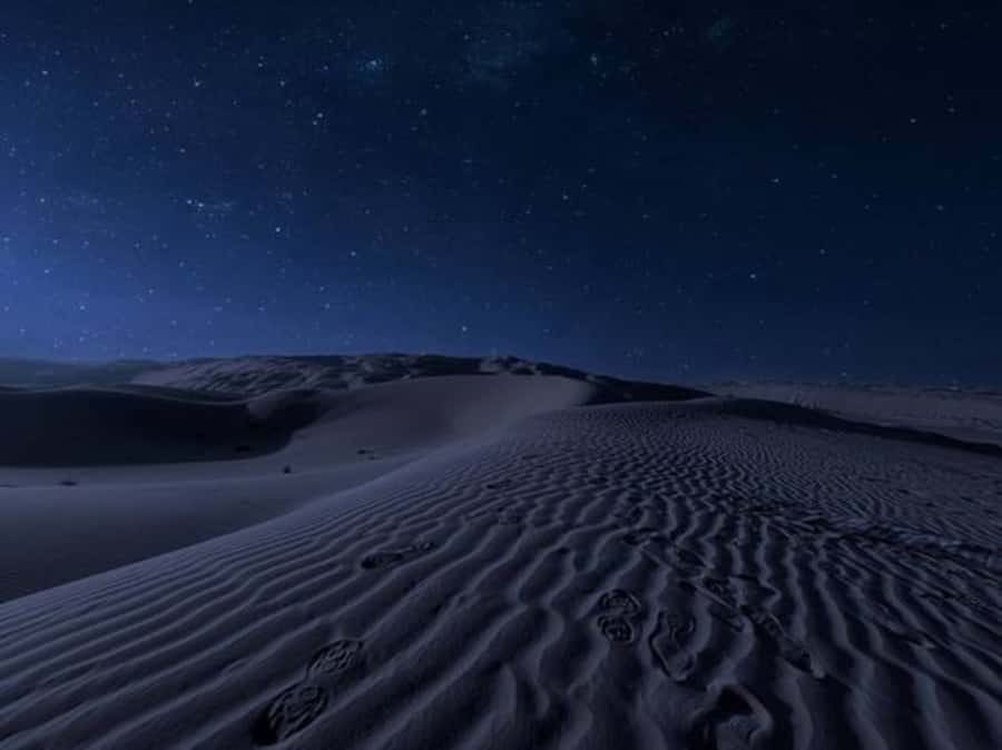 Doha: Night Desert Safari with Stargazing & Camel Ride - The camel camp and a taste of Bedouin life