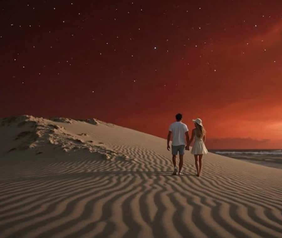 Doha: Night Inland Sea Desert Safari with Full Activities - Key points before you book