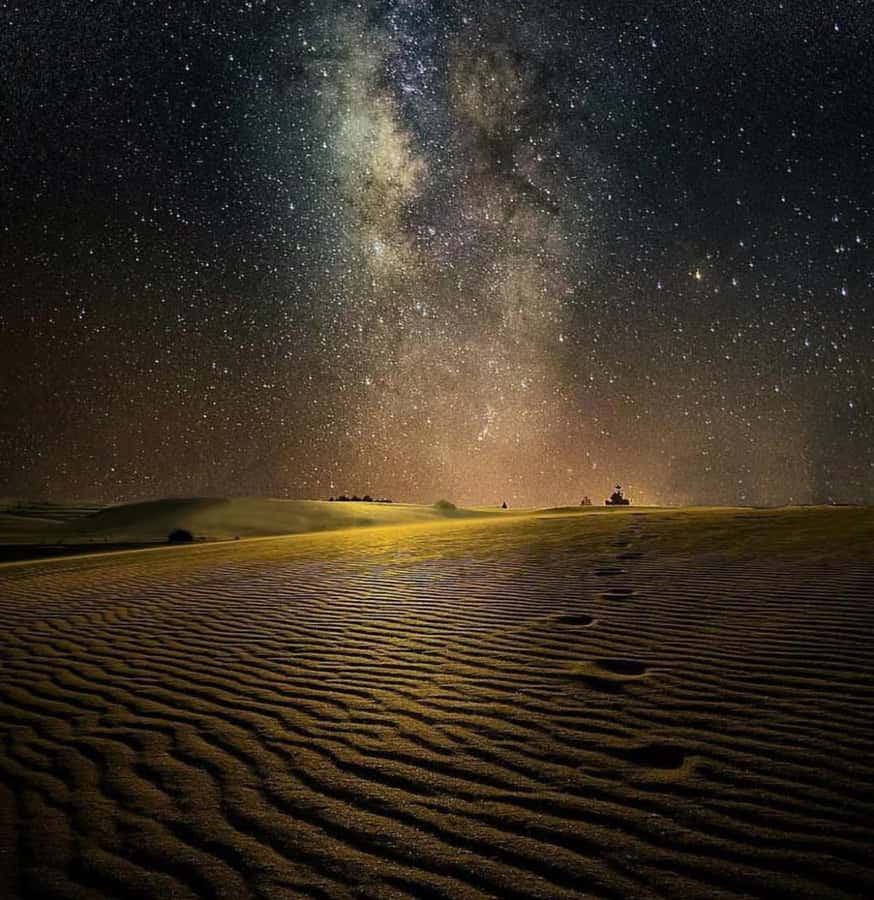 Doha: Night Safari with Dune Bashing and Camel Ride - Key points at a glance