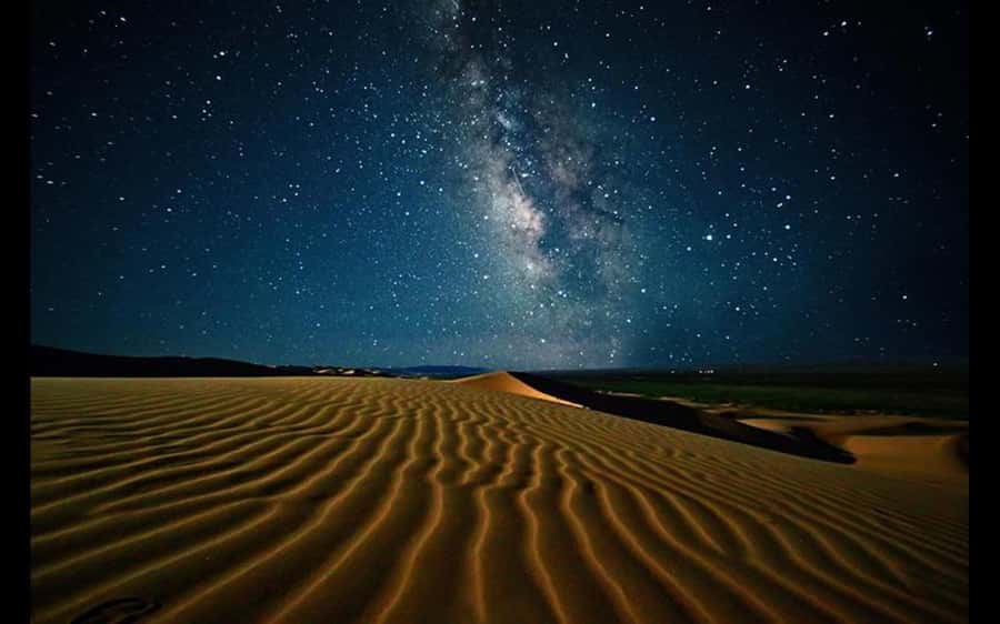 Doha: Night Safari with Dune Bashing and Camel Ride - Who will enjoy this desert safari?