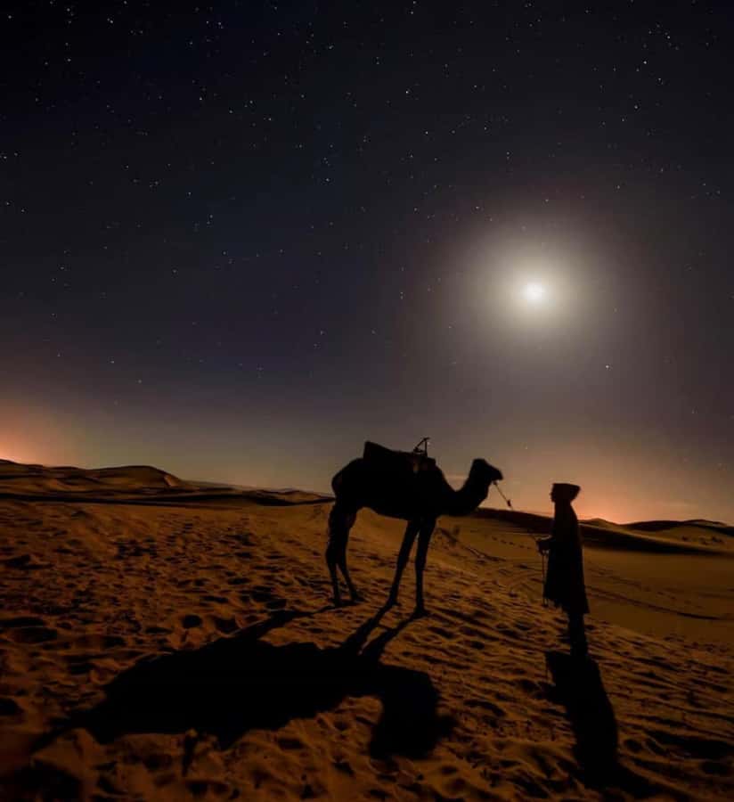 Doha: Night Safari with Dune Bashing and Camel Ride - The 4x4 ride across the golden dunes
