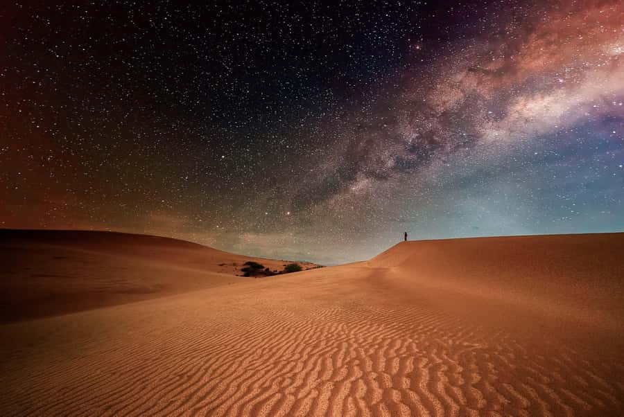 Doha: Nighttime Desert Safari with Dune Bashing & Camel Ride - Dune bashing: the main adrenaline hit