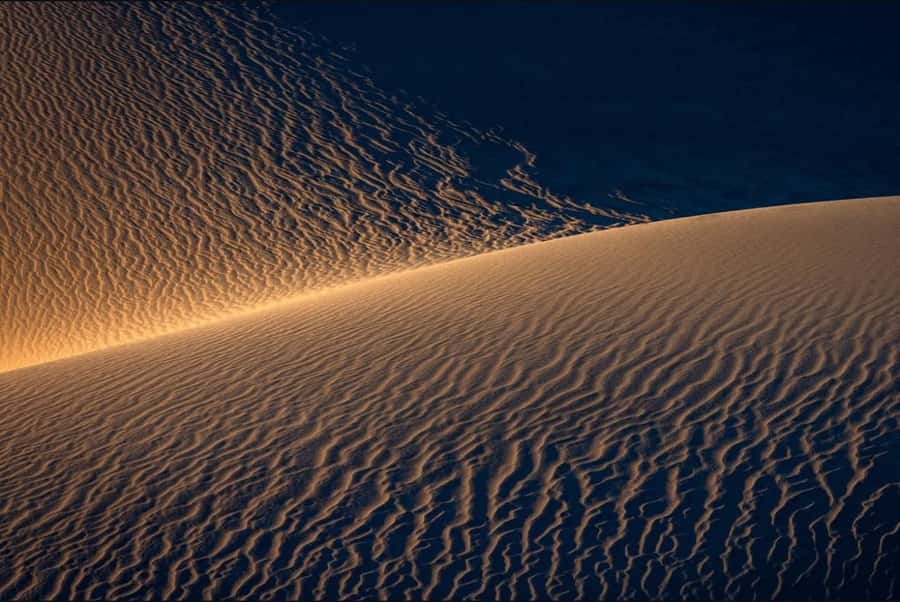 Doha: Nighttime Desert Safari with Dune Bashing & Camel Ride - Who should book this desert safari?