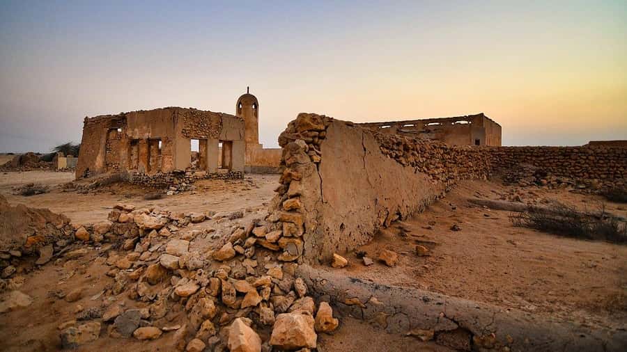 Doha: North Qatar Tour, Mangroves, & Zubara Fort and purple - Timing, comfort, and what to bring