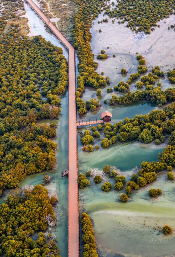 Doha North Qatar Tour Zubara Fort, Mangroves, Jumail Village - Key points before you book