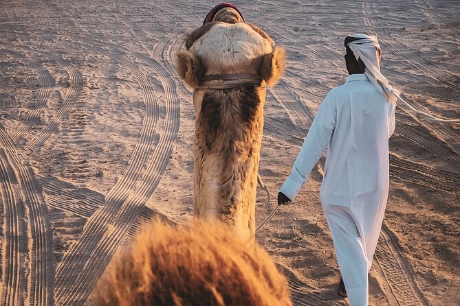 Doha Overnight Desert Safari dinner/breakfast included - Dune bashing brings the fast part