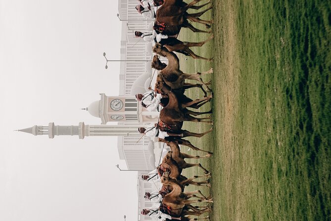 Doha Private City Tour - The Pearl-Qatar shows Doha’s luxury side