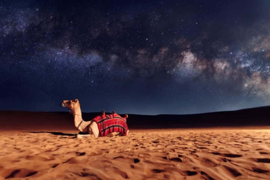 Doha: Private Desert Safari at Night with Stargazing - Mesaieed: tea, camels, and a traditional pause