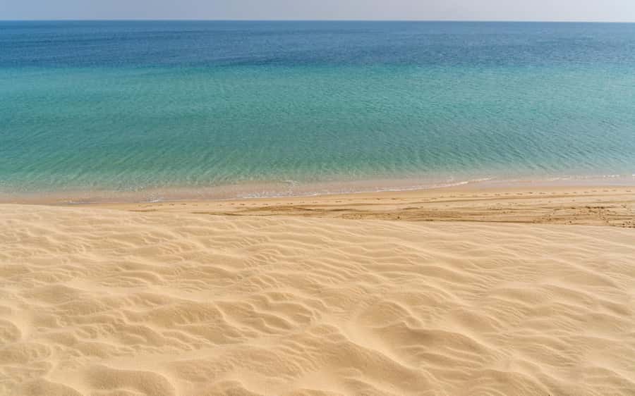 Doha:Private Desert Safari, Falcon, Sandboarding,inland sea - Falcon photographs and the human side of the trip