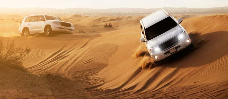 Doha : Private Desert Safari With Camel Ride & Sand Boarding - Sealine Beach Resort: A Gentle Start with Camels and Coffee
