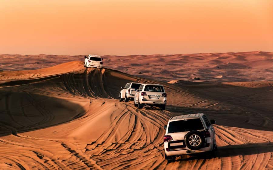 Doha : Private Desert Safari With Camel Ride & Sand Boarding - Guide Style and the Human Side of the Trip