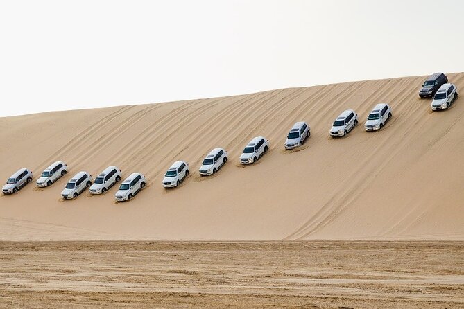 Doha: Private Half Day Desert Safari Tour in Qatar - How much value do you get for $58?