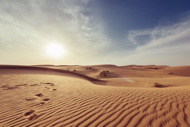 Doha Private Half-Day Guided Desert Safari Tour - Sealine Beach and the Tire-Deflating Ritual
