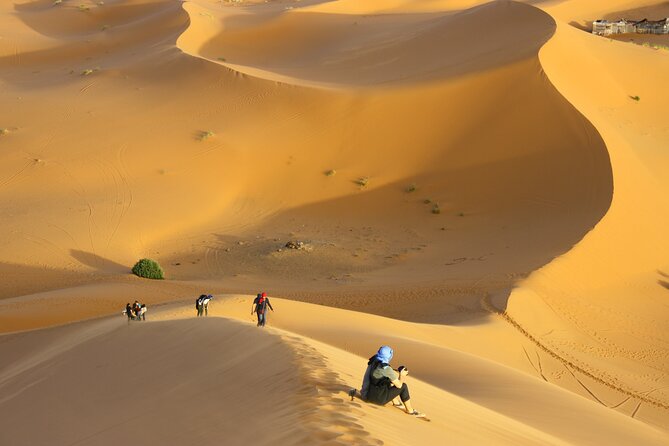 Doha Private Half-Day Guided Desert Safari Tour - Reaching Khor Al Udaid, Qatar’s Inland Sea