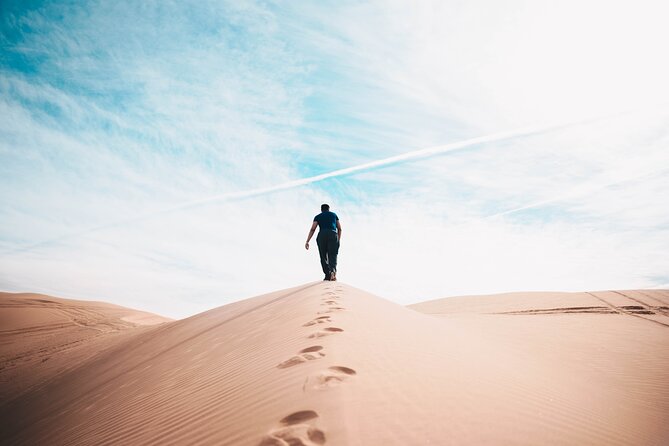Doha Private Half-Day Guided Desert Safari Tour - Guides, Safety, and the Private Format