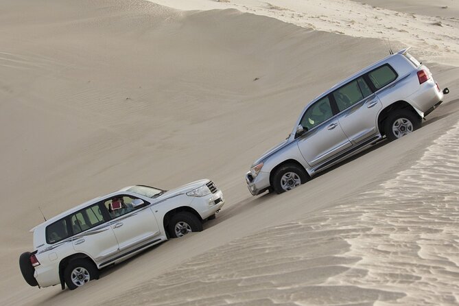 Doha Private Half-Day Guided Desert Safari Tour - Who Will Enjoy This Desert Safari?