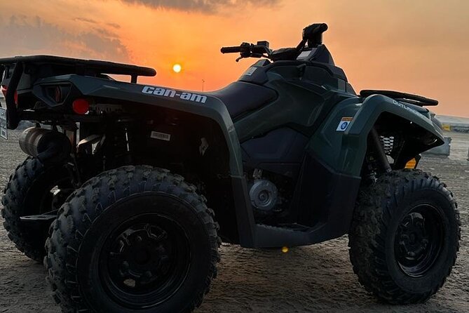 Doha-Private half day safari Sunrise/Sunset - The Camel Ride and Coastal Desert Views