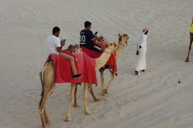 Doha-Private Half Day Safari with Horse Ride/Camel Ride/sandboard - A 40-minute horse ride in the desert