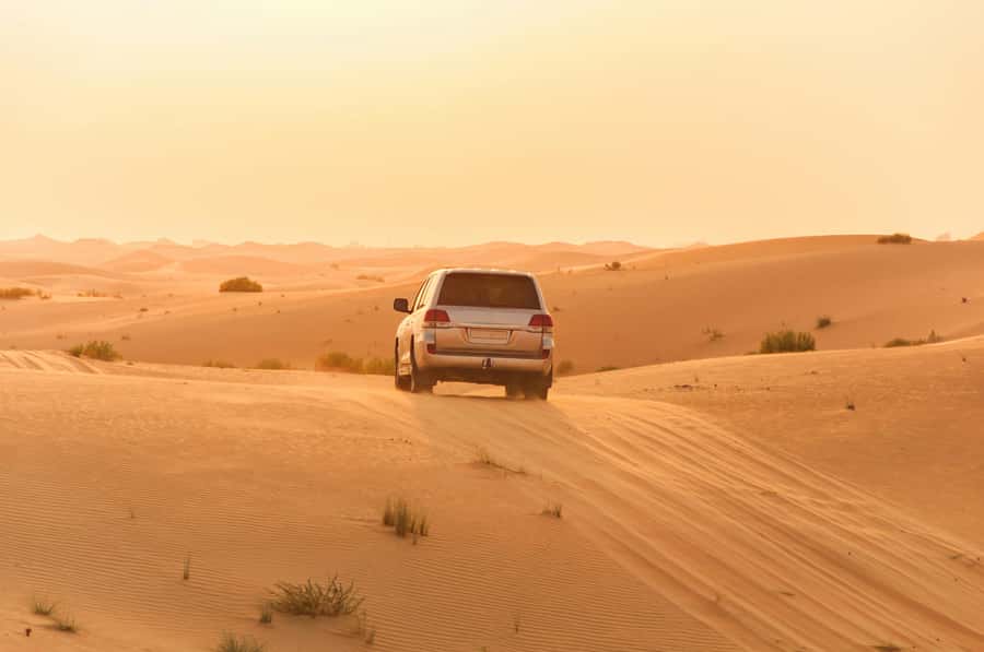 Doha: Private NIGHT desert safari with free camel ride - What the $105 price really covers