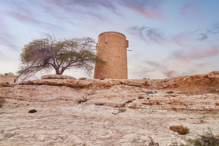 Doha : Private North of Qatar Tour, Zubara Fort & Mangroves - Key points before you book