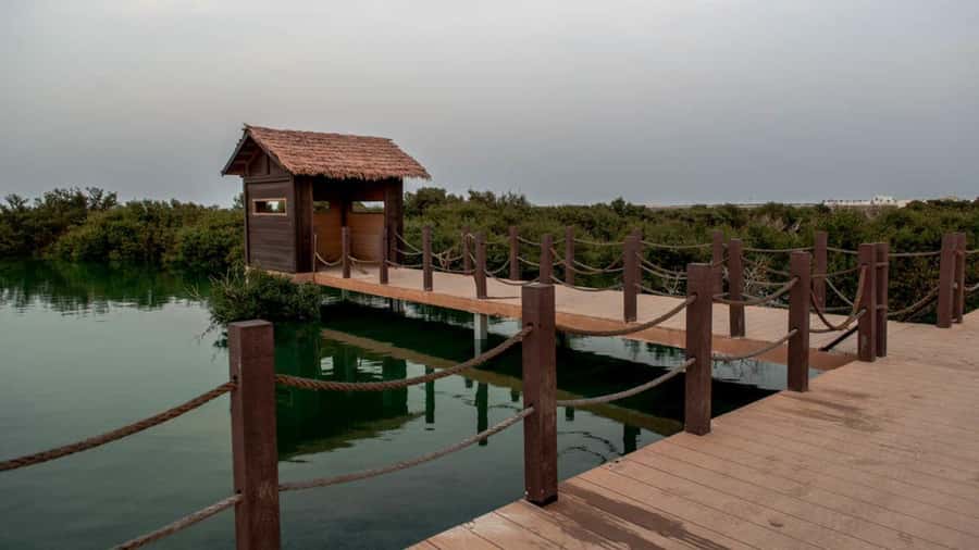 Doha : Private North of Qatar Tour, Zubara Fort & Mangroves - Is $64 per person good value?