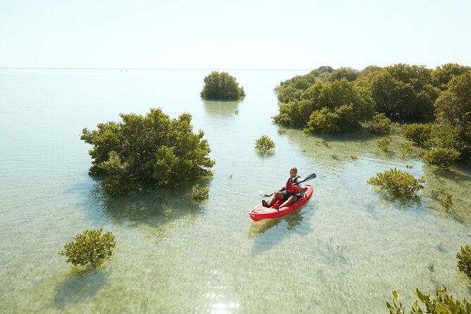 Doha Private North Qatar Tour, Mangroves and Al Zubarah Fort - Is $65 a fair price?