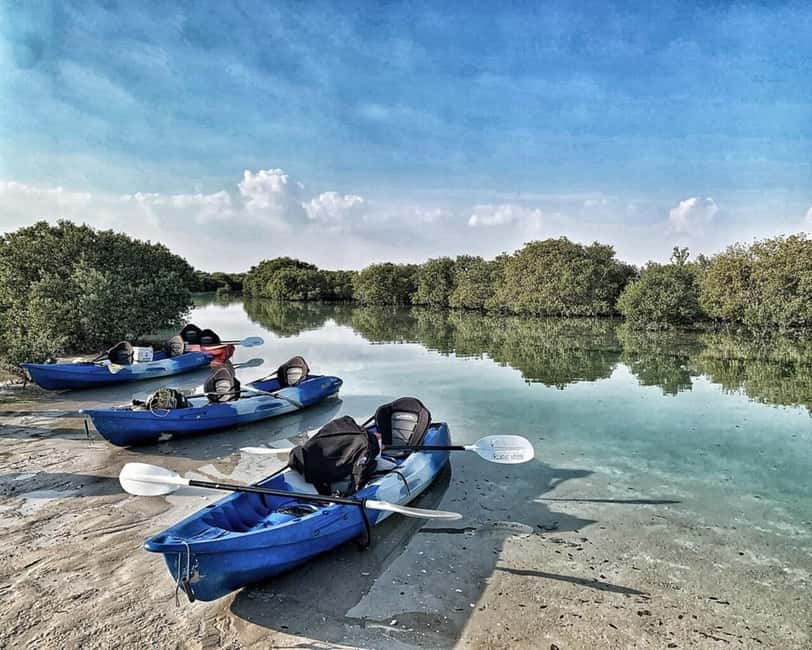 Doha: Private Purple Island Mangroves Kayaking Adventure - What makes the mangroves worth your time